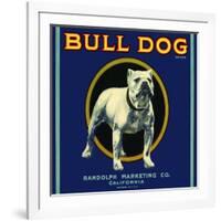 Bull Dog Brand-null-Framed Giclee Print