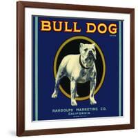 Bull Dog Brand-null-Framed Giclee Print