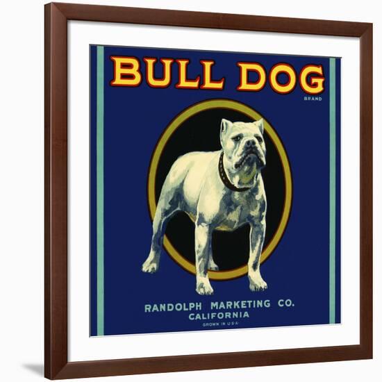 Bull Dog Brand-null-Framed Giclee Print