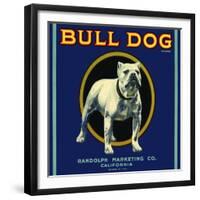 Bull Dog Brand-null-Framed Giclee Print