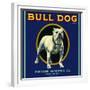 Bull Dog Brand-null-Framed Giclee Print