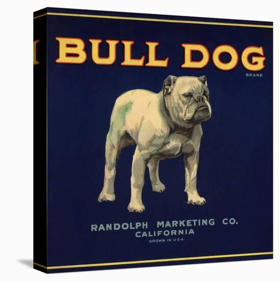 Bull Dog Head - California - Citrus Crate Label-Lantern Press-Stretched Canvas