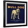 Bull Dog Head - California - Citrus Crate Label-Lantern Press-Framed Art Print