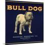 Bull Dog Head - California - Citrus Crate Label-Lantern Press-Mounted Art Print