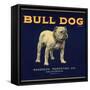 Bull Dog Head - California - Citrus Crate Label-Lantern Press-Framed Stretched Canvas