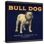 Bull Dog Head - California - Citrus Crate Label-Lantern Press-Stretched Canvas