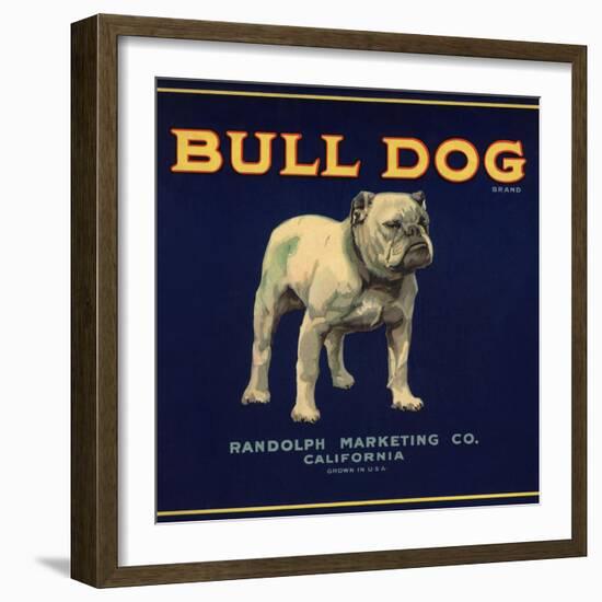 Bull Dog Head - California - Citrus Crate Label-Lantern Press-Framed Art Print