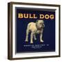 Bull Dog Head - California - Citrus Crate Label-Lantern Press-Framed Art Print