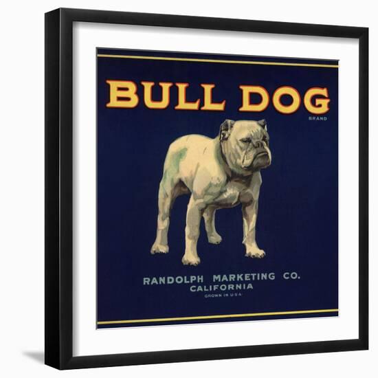 Bull Dog Head - California - Citrus Crate Label-Lantern Press-Framed Art Print