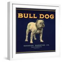 Bull Dog Head - California - Citrus Crate Label-Lantern Press-Framed Art Print