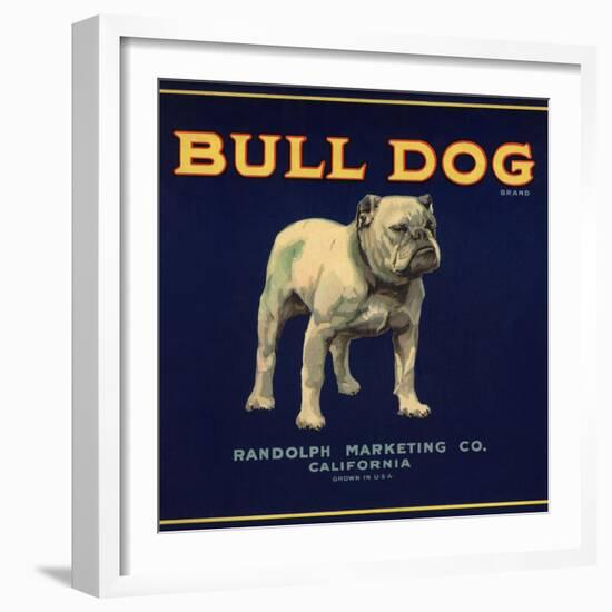 Bull Dog Head - California - Citrus Crate Label-Lantern Press-Framed Art Print