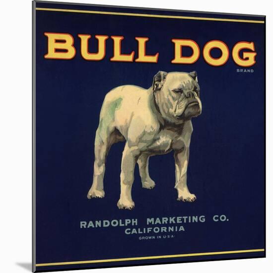 Bull Dog Head - California - Citrus Crate Label-Lantern Press-Mounted Art Print