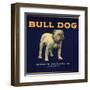 Bull Dog Head - California - Citrus Crate Label-Lantern Press-Framed Art Print