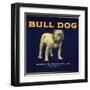 Bull Dog Head - California - Citrus Crate Label-Lantern Press-Framed Art Print