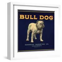 Bull Dog Head - California - Citrus Crate Label-Lantern Press-Framed Art Print