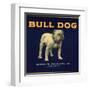 Bull Dog Head - California - Citrus Crate Label-Lantern Press-Framed Art Print