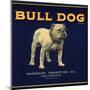 Bull Dog Head - California - Citrus Crate Label-Lantern Press-Mounted Art Print