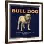 Bull Dog Head - California - Citrus Crate Label-Lantern Press-Framed Art Print