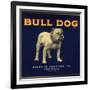 Bull Dog Head - California - Citrus Crate Label-Lantern Press-Framed Art Print