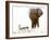 Bull Elephant and Springbok, Etosha, 2017-Eric Meyer-Framed Photographic Print