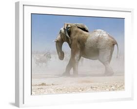 Bull Elephant, Etosha, 2018-Eric Meyer-Framed Photographic Print