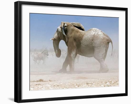 Bull Elephant, Etosha, 2018-Eric Meyer-Framed Photographic Print