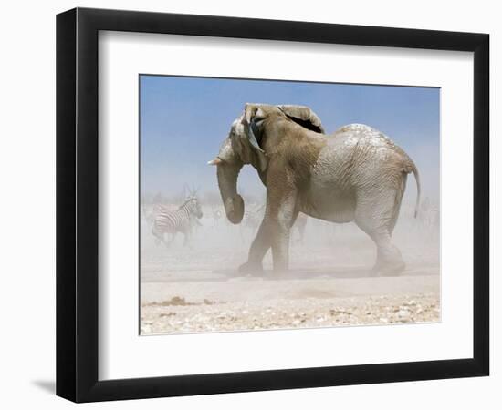 Bull Elephant, Etosha, 2018-Eric Meyer-Framed Photographic Print
