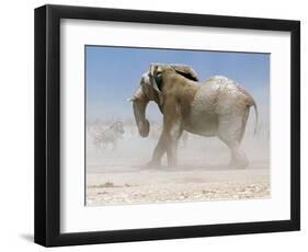 Bull Elephant, Etosha, 2018-Eric Meyer-Framed Photographic Print