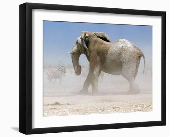 Bull Elephant, Etosha, 2018-Eric Meyer-Framed Photographic Print