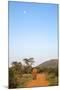 Bull Elephant (Loxodonta Africana) Walking Off, Madikwe Reserve, North West Province-Ann and Steve Toon-Mounted Photographic Print