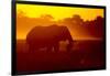 Bull Elephant, Moremi Game Reserve, Botswana-Paul Souders-Framed Premium Photographic Print