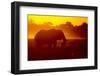 Bull Elephant, Moremi Game Reserve, Botswana-Paul Souders-Framed Premium Photographic Print