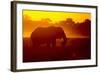 Bull Elephant, Moremi Game Reserve, Botswana-Paul Souders-Framed Photographic Print