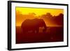 Bull Elephant, Moremi Game Reserve, Botswana-Paul Souders-Framed Photographic Print