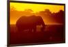 Bull Elephant, Moremi Game Reserve, Botswana-Paul Souders-Framed Photographic Print