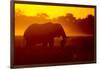 Bull Elephant, Moremi Game Reserve, Botswana-Paul Souders-Framed Photographic Print