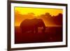 Bull Elephant, Moremi Game Reserve, Botswana-Paul Souders-Framed Photographic Print