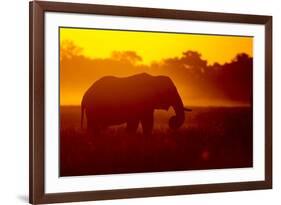 Bull Elephant, Moremi Game Reserve, Botswana-Paul Souders-Framed Photographic Print