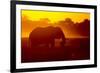 Bull Elephant, Moremi Game Reserve, Botswana-Paul Souders-Framed Photographic Print