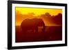 Bull Elephant, Moremi Game Reserve, Botswana-Paul Souders-Framed Photographic Print