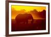 Bull Elephant, Moremi Game Reserve, Botswana-Paul Souders-Framed Photographic Print