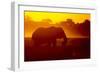 Bull Elephant, Moremi Game Reserve, Botswana-Paul Souders-Framed Photographic Print