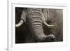 Bull Elephant Trunk and Tusks, Makgadikgadi Pans National Park, Botswana-Paul Souders-Framed Photographic Print