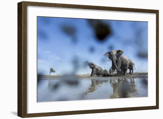 Bull Elephants, Chobe National Park, Botswana-Paul Souders-Framed Photographic Print