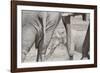 Bull Elephants, Loxodonta Africana, at a Watering Hole in Etosha National Park, Namibia-Alex Saberi-Framed Photographic Print