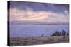 Bull Elk and Misty Yellowstone Lake-Vincent James-Stretched Canvas