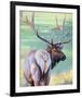 Bull Elk and Shadowy Sage-Joni Johnson-Godsy-Framed Giclee Print