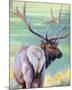 Bull Elk and Shadowy Sage-Joni Johnson-Godsy-Mounted Giclee Print