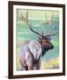 Bull Elk and Shadowy Sage-Joni Johnson-Godsy-Framed Giclee Print