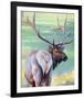 Bull Elk and Shadowy Sage-Joni Johnson-Godsy-Framed Giclee Print